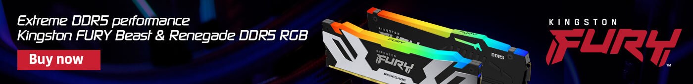 Kingston Fury Banner.